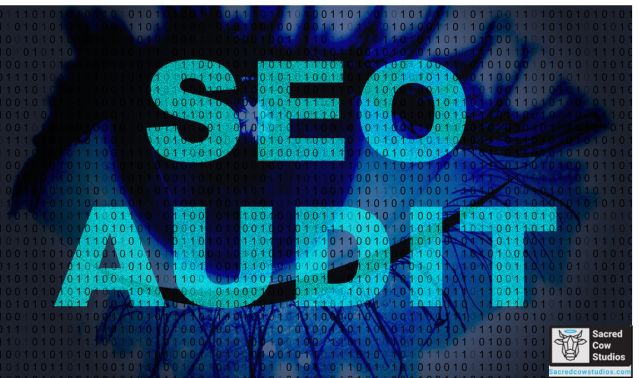 SEO Audit Checklist: Assess & Improve Your Website’s Performance